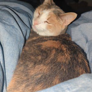 Meet your Posher, Caiti